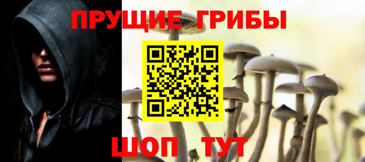 Муравленко  Псилоцибиновые грибы ЛСД  Вход с VPN 