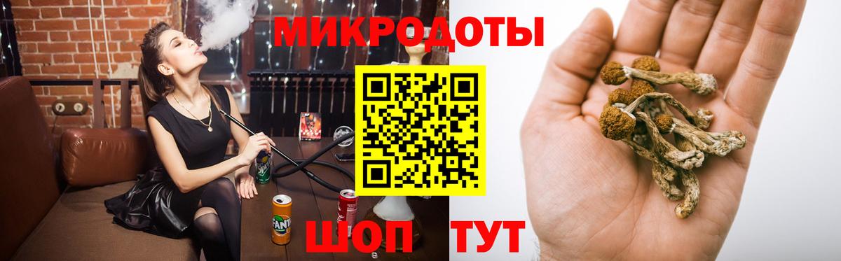 Псилоцибиновые грибы прущие грибы Муравленко